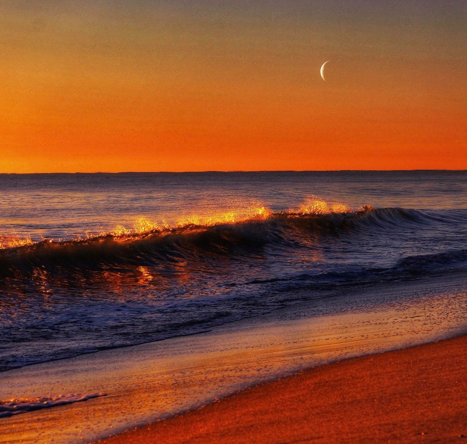 ColorDream Morning