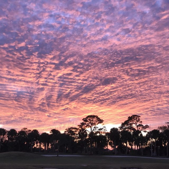 Tropical Sundown