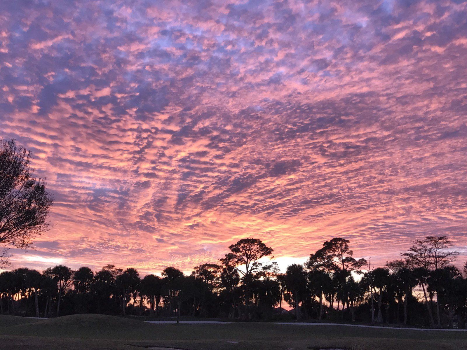 Tropical Sundown