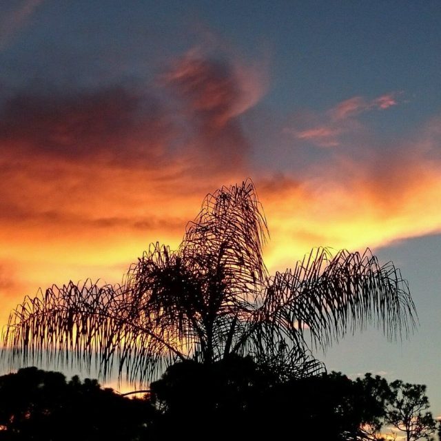 Sky Light
