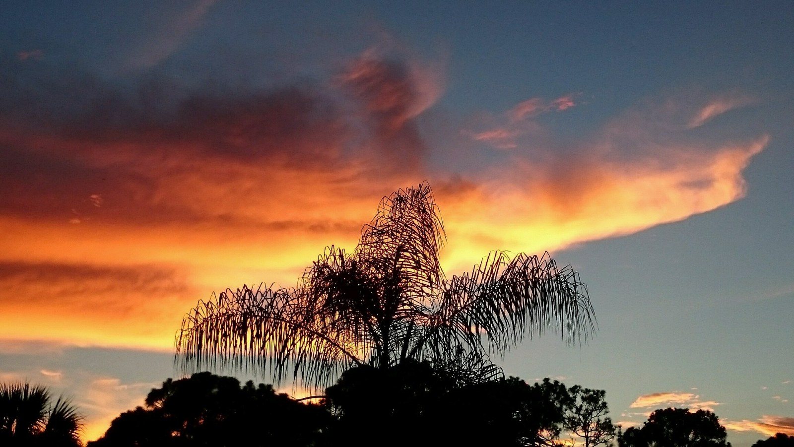 Sky Light