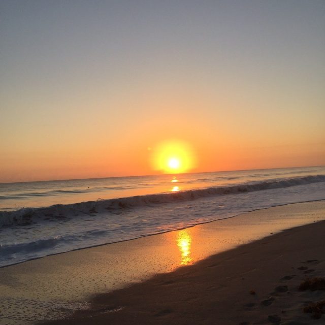 Morning Walk