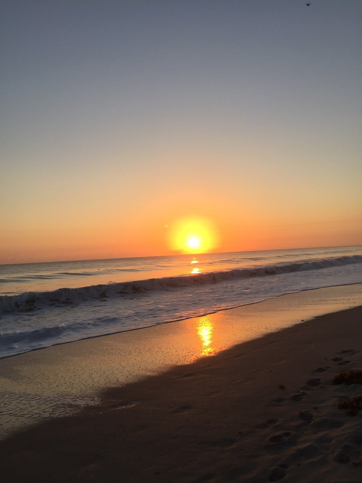 Morning Walk