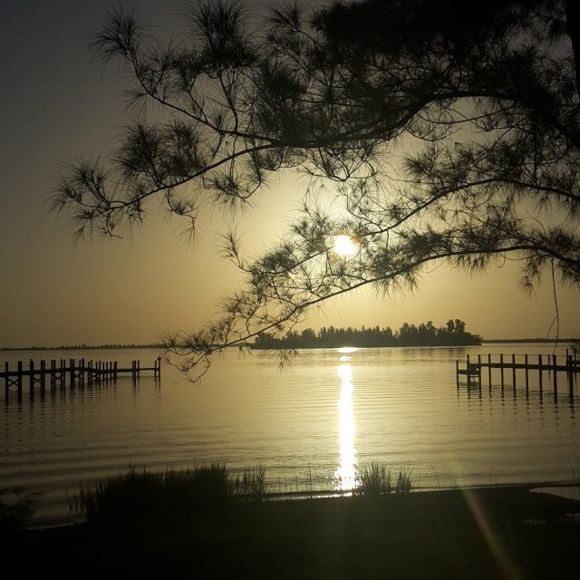 Donna's photo