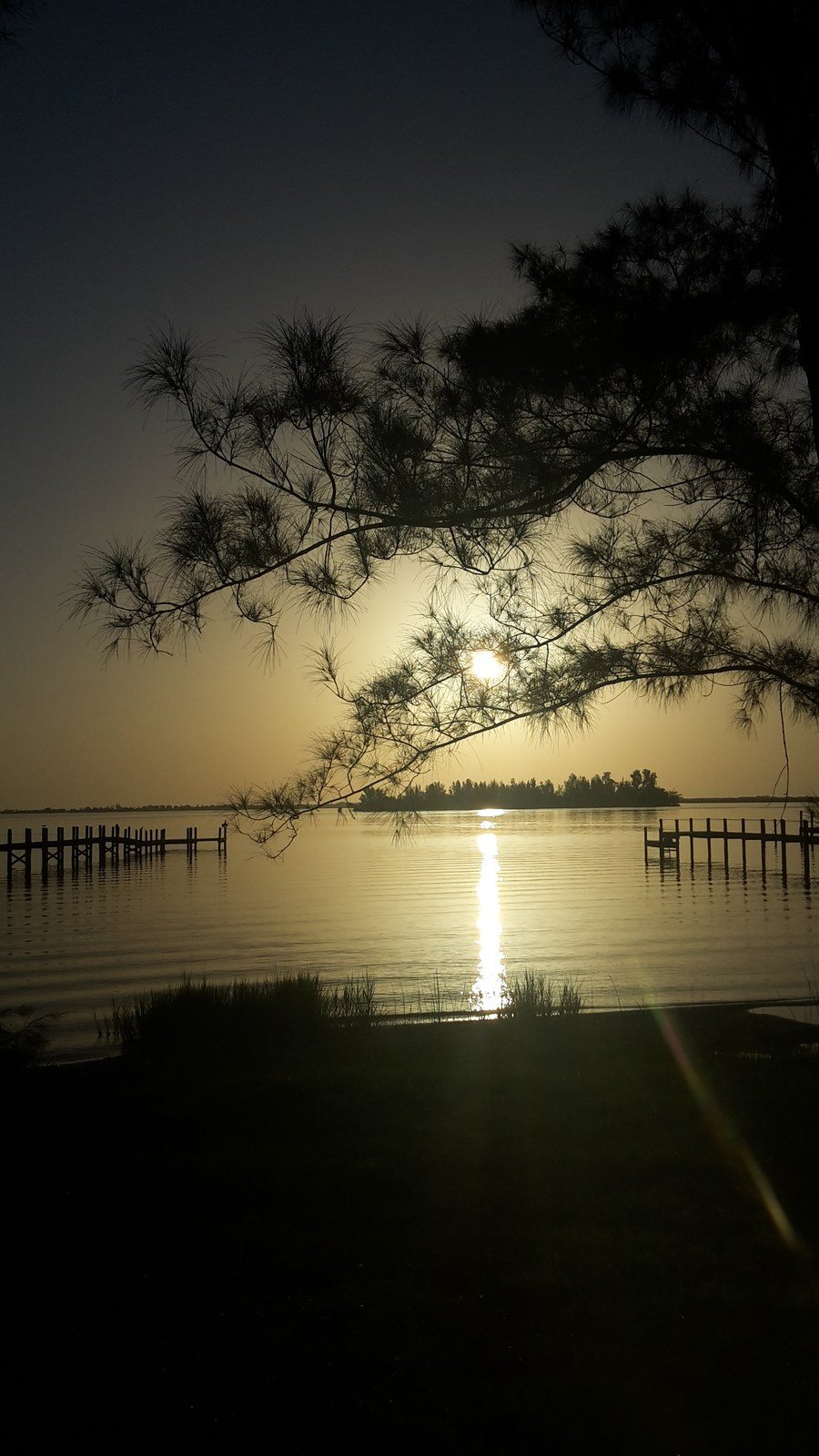 Donna's photo