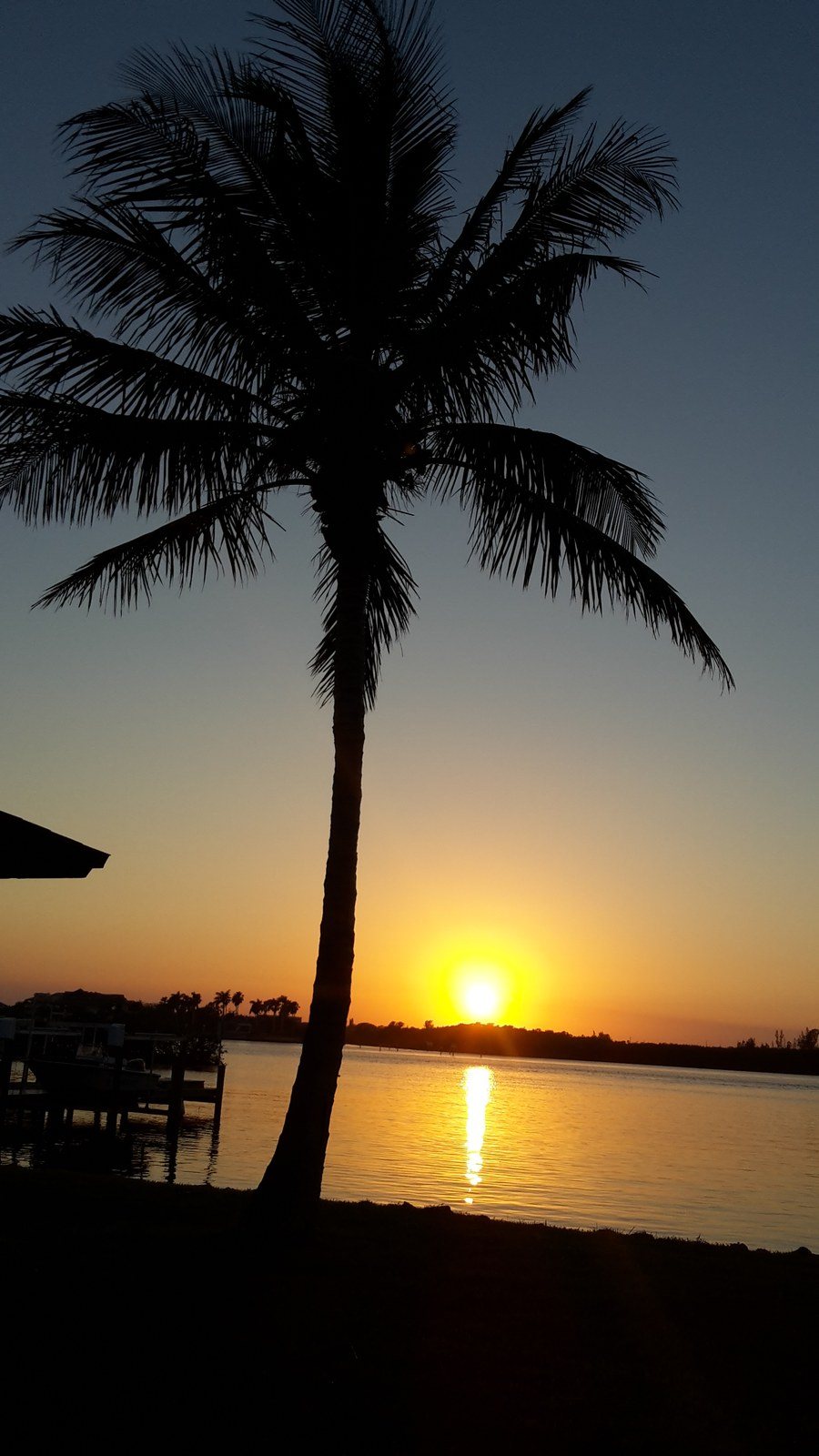 Donna's photo