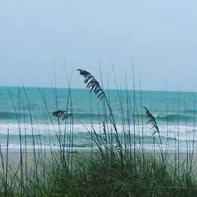Ocean Waves In Melbourne Beach