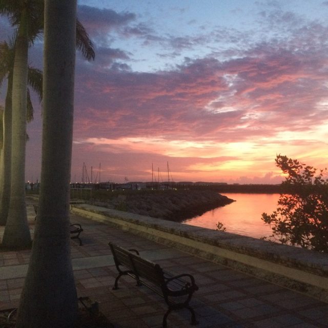New Day