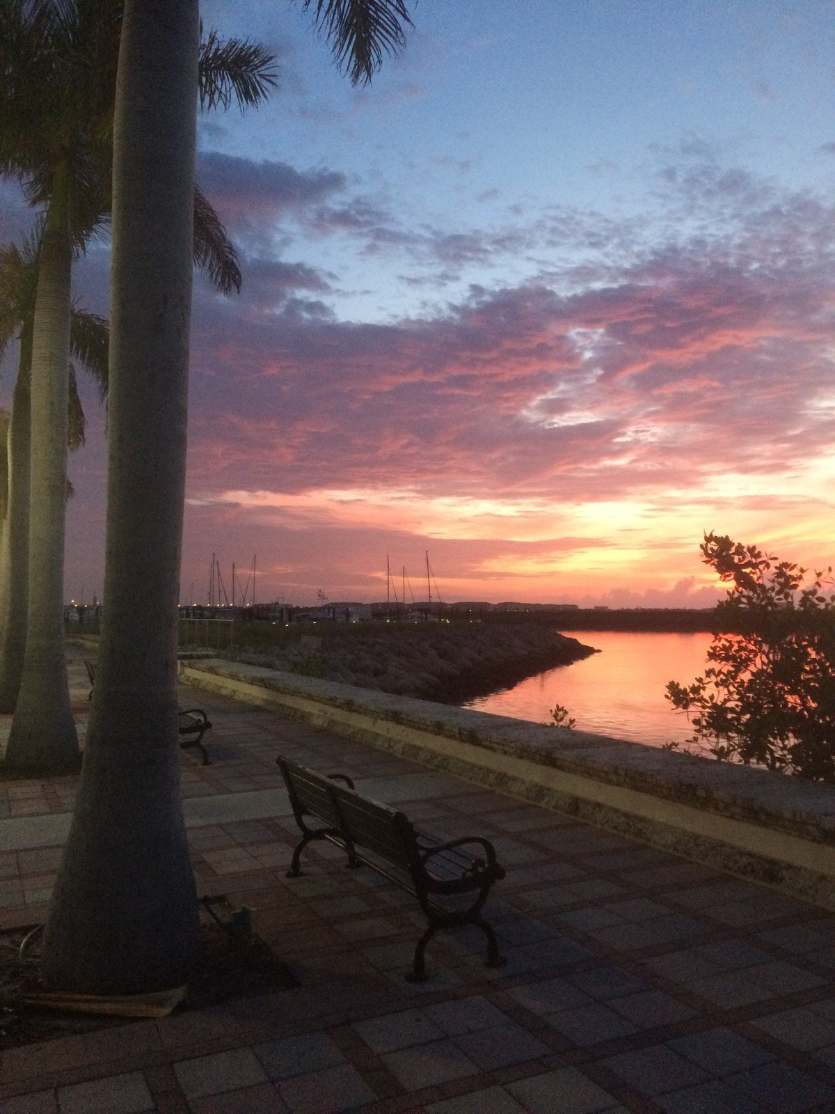 New Day
