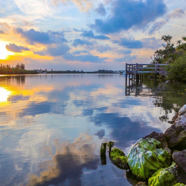 JUNGLE TRAIL AT SUNSET
