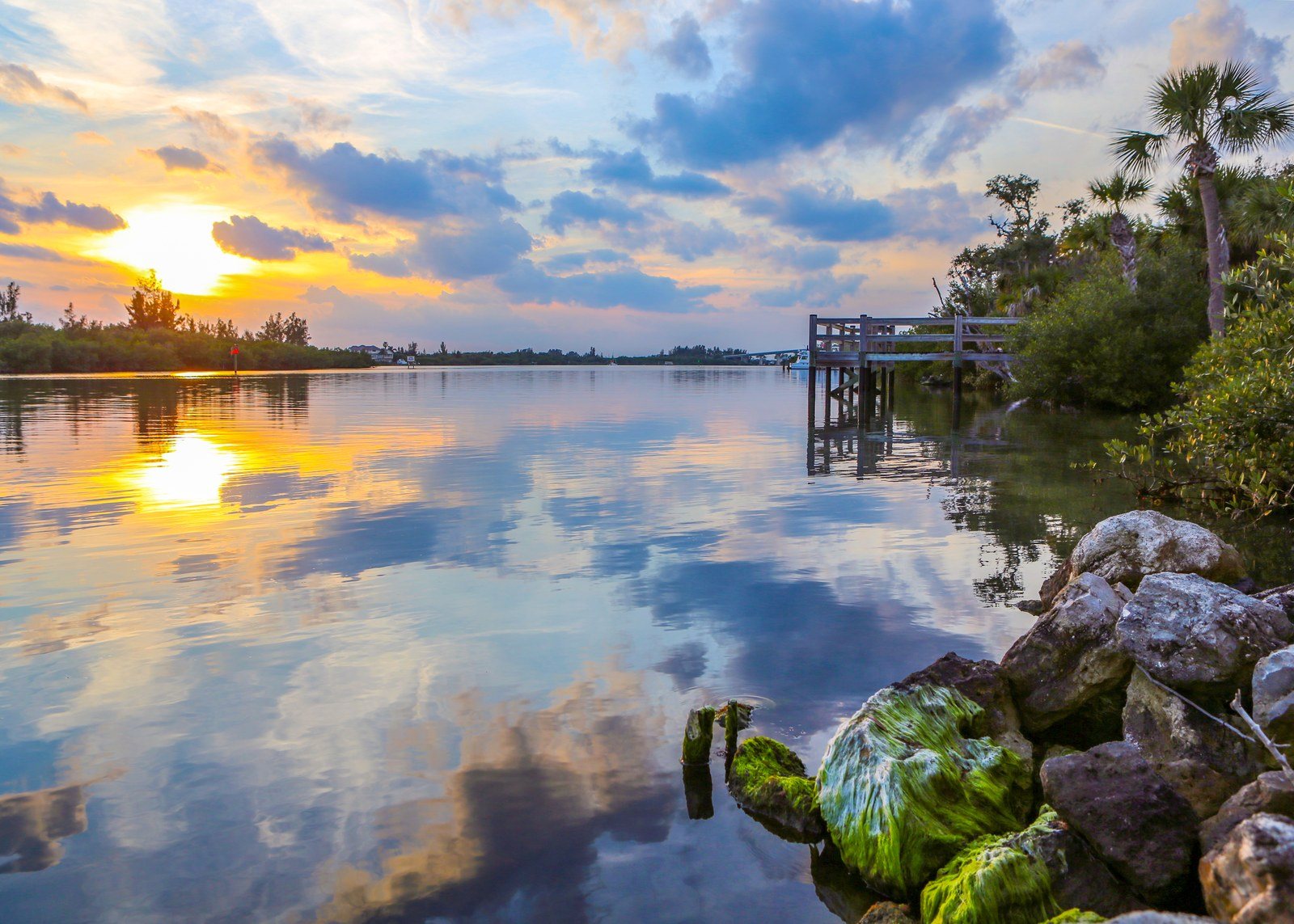 JUNGLE TRAIL AT SUNSET