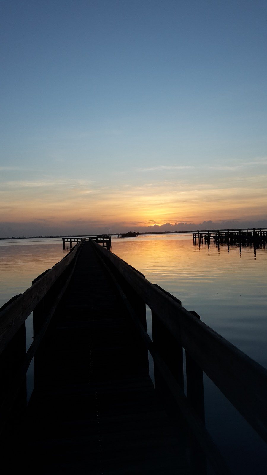 Donna's photo