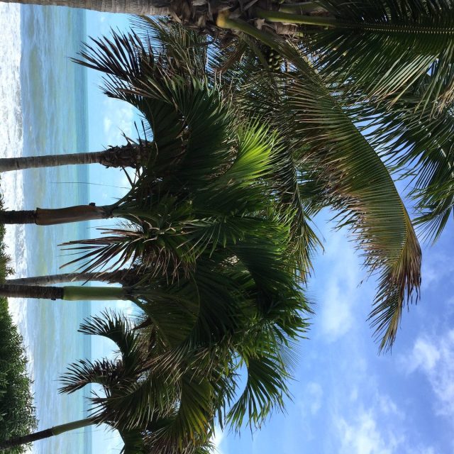 The Best View In Town!