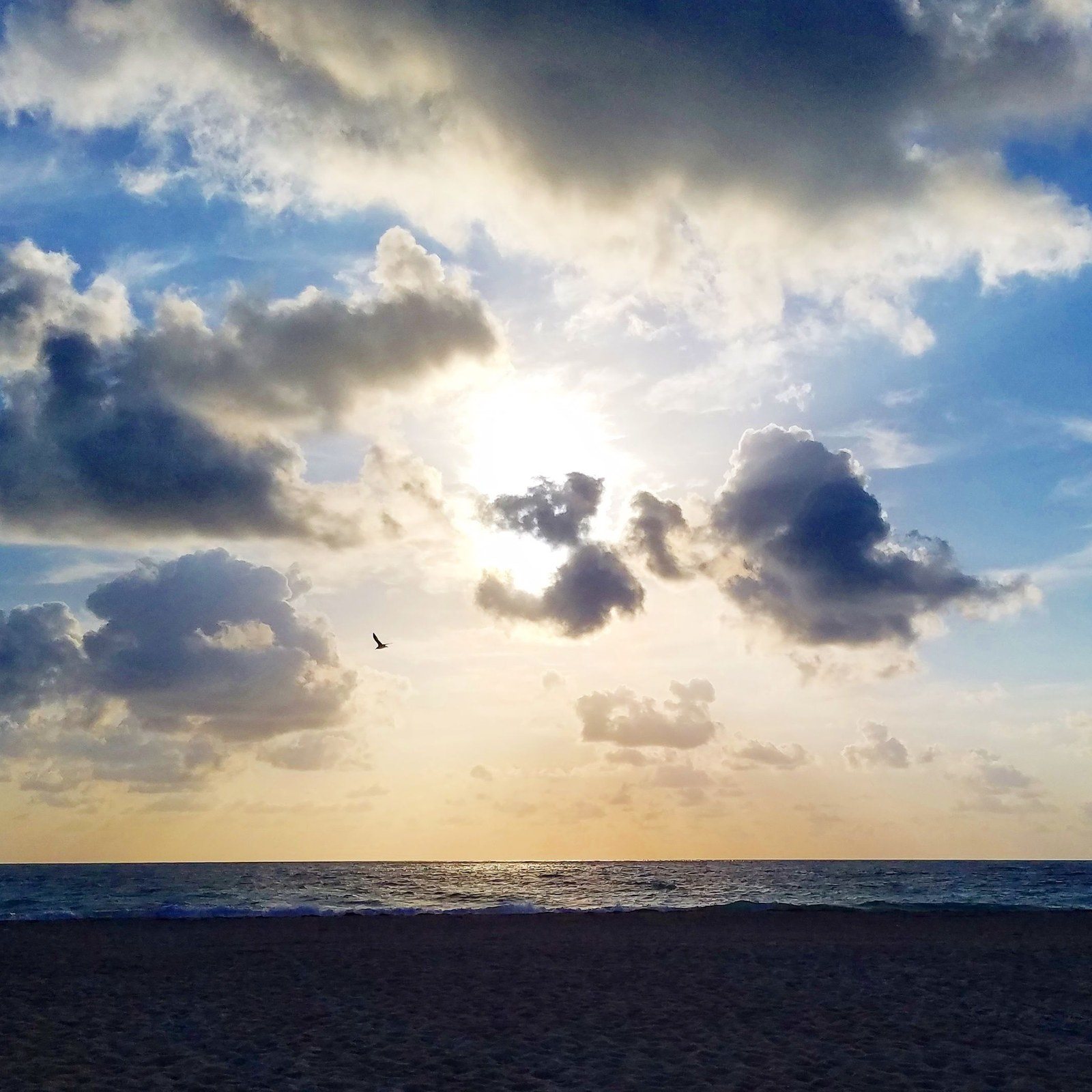 Sunrise