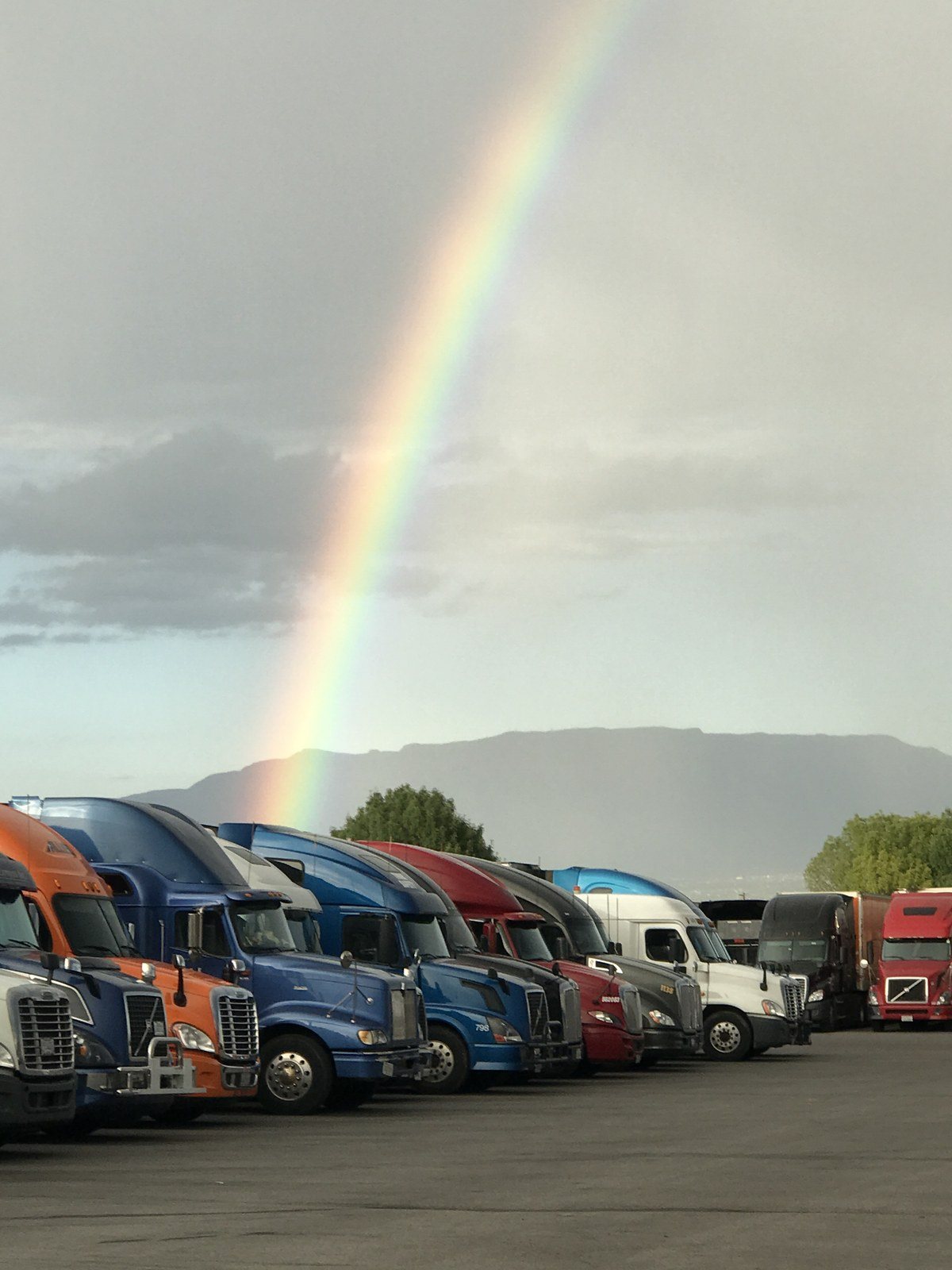 Rainbow 🌈 Trucker