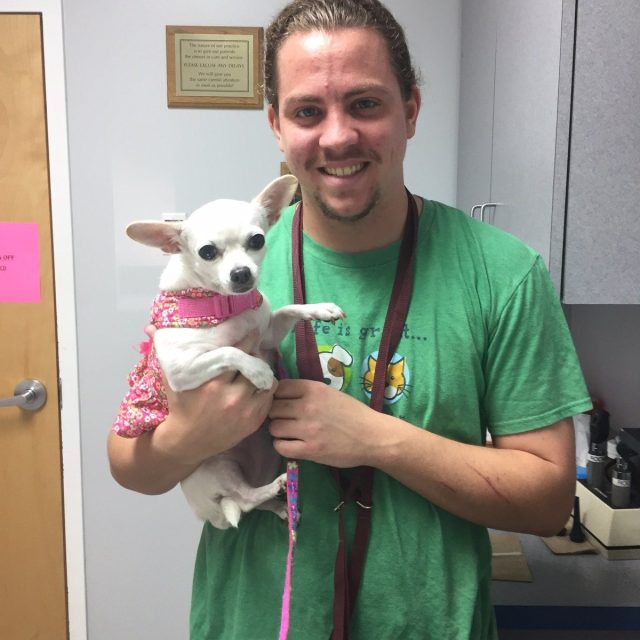 Love My Vet Tech