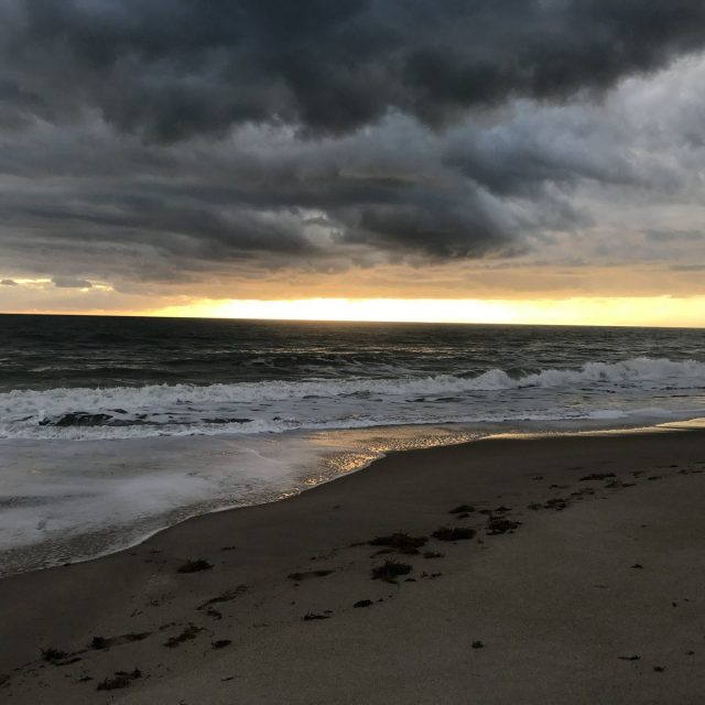 Good Morning Vero