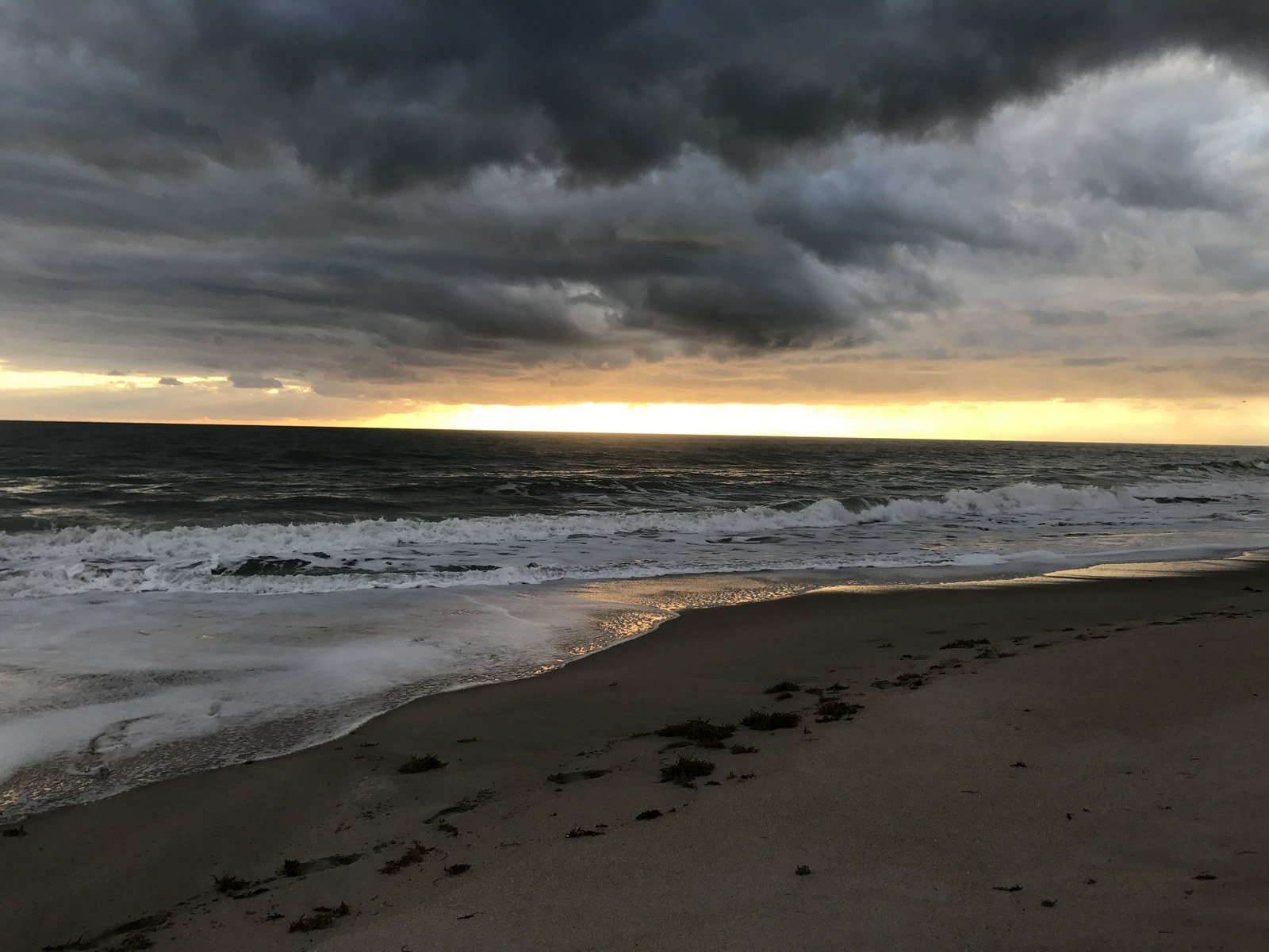 Good Morning Vero