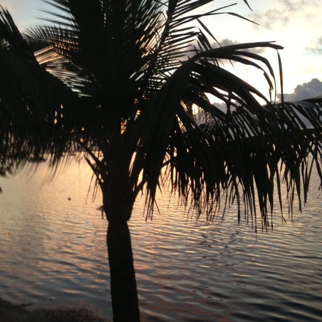 Sunrise Key West