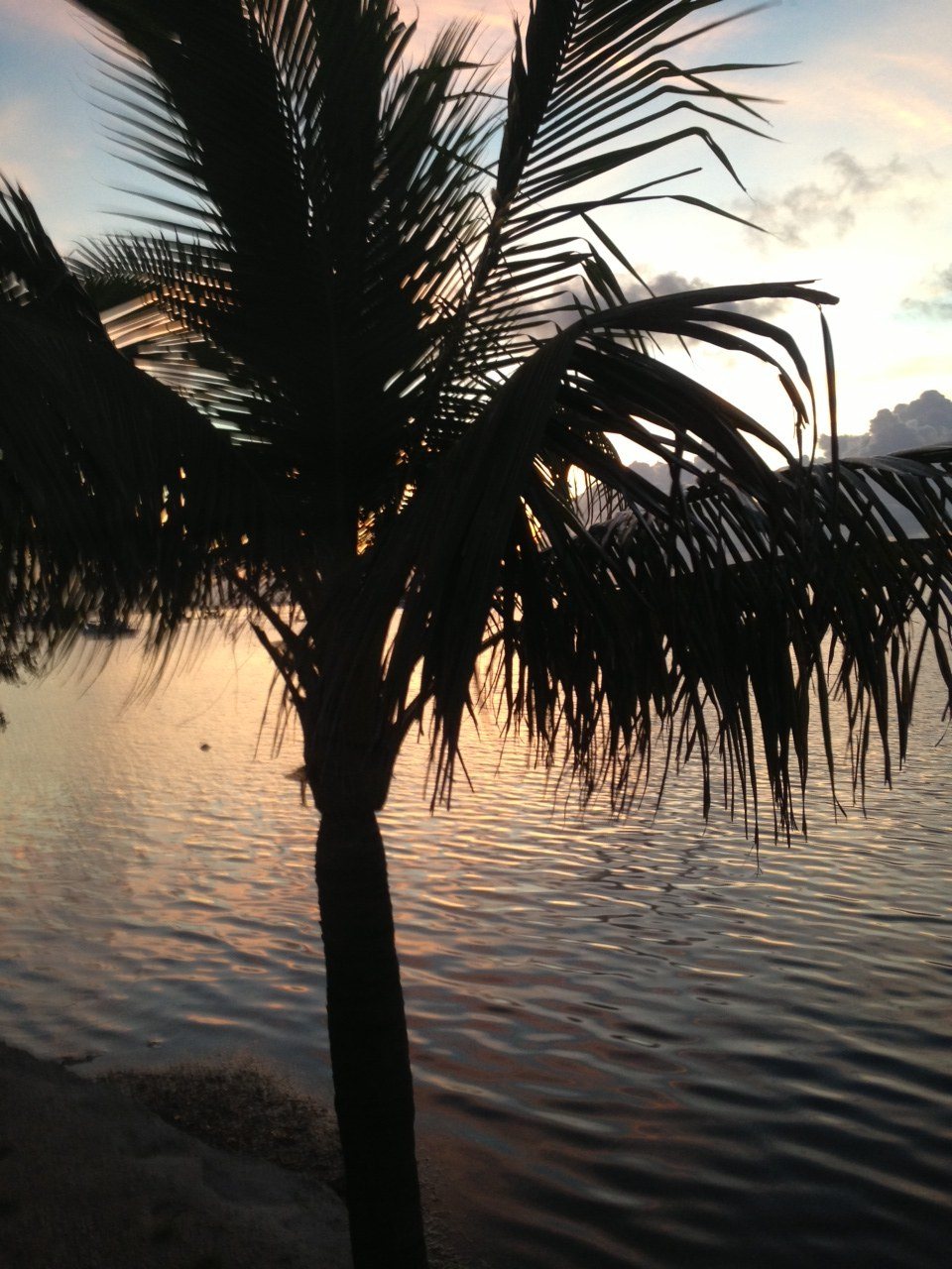 Sunrise Key West