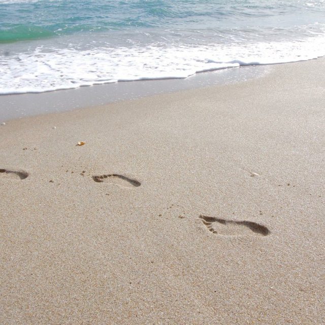 Vero Steps...