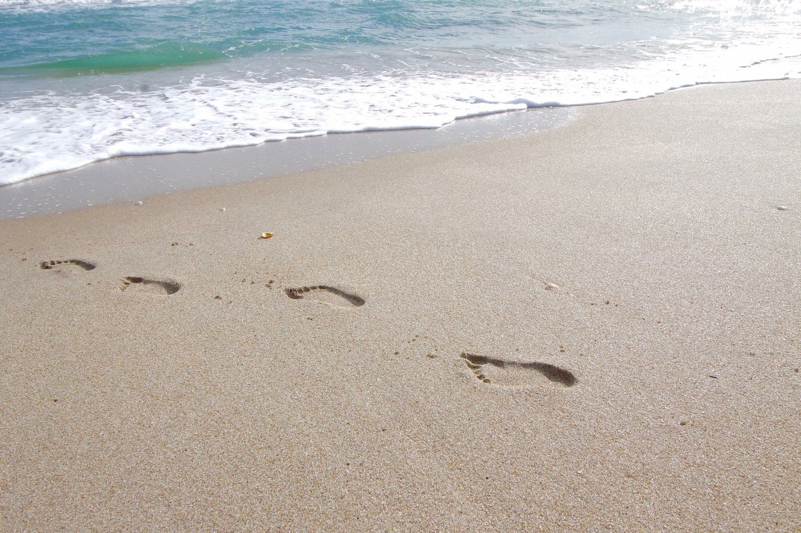Vero Steps...