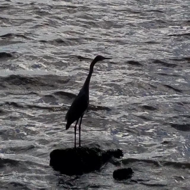 Ft. Pierce Waterfront