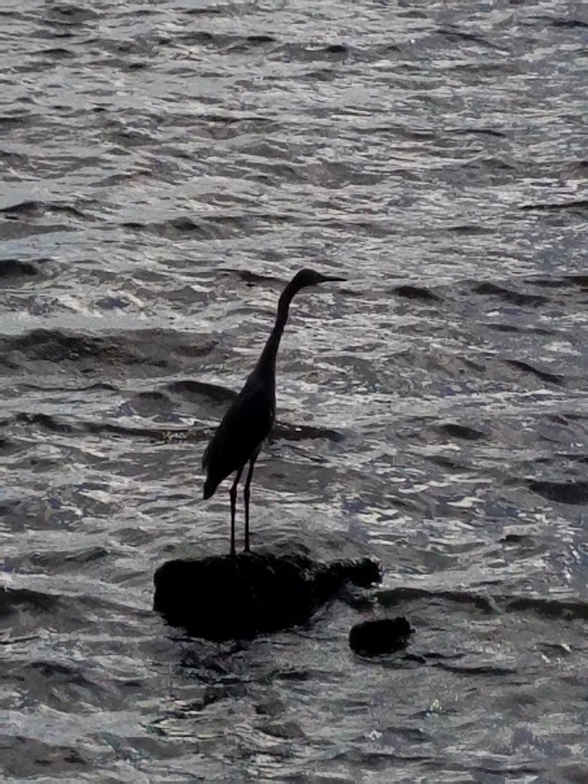Ft. Pierce Waterfront