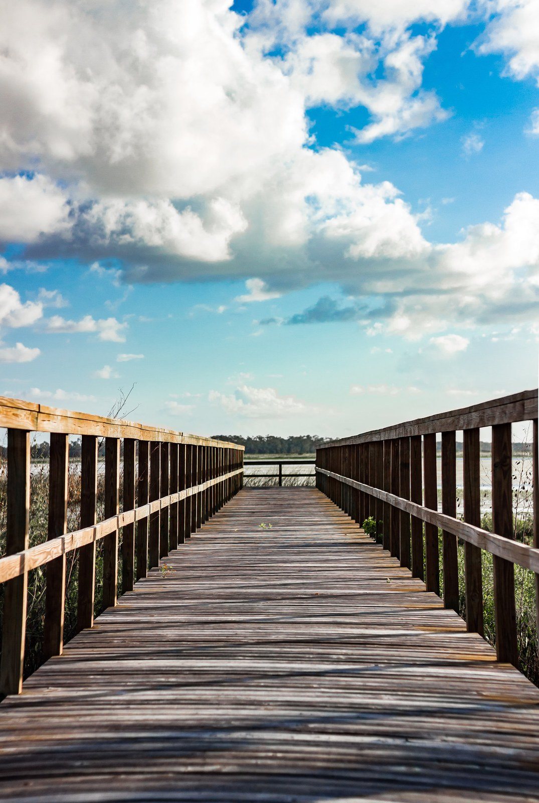 Docks