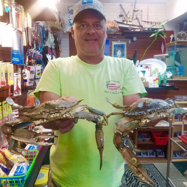 King Pompano Bait And Tackle Shop