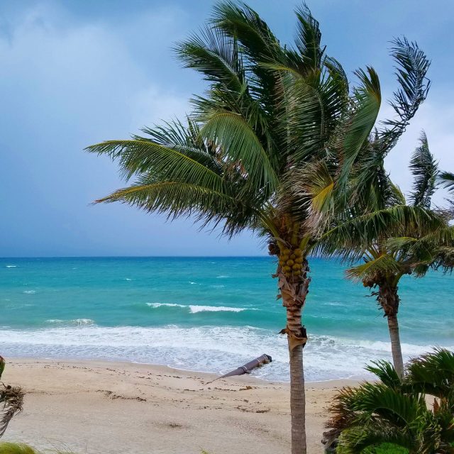 Still Beautiful On A Stormy Day