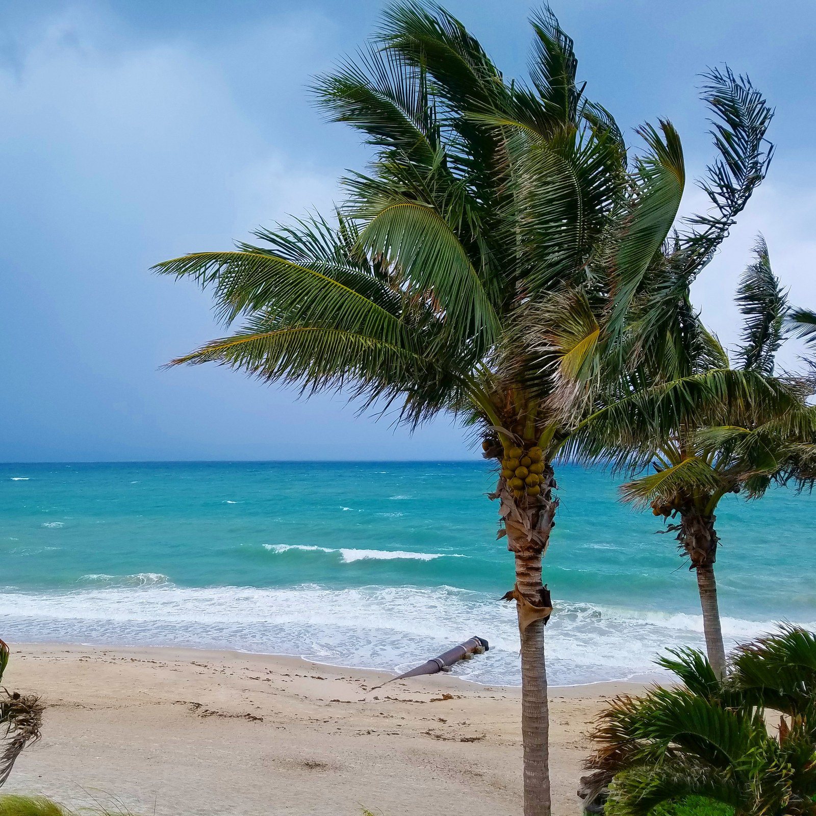 Still Beautiful On A Stormy Day