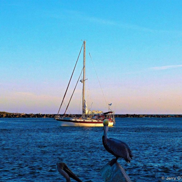 Sail On Sailor Ft Pierce Jetty