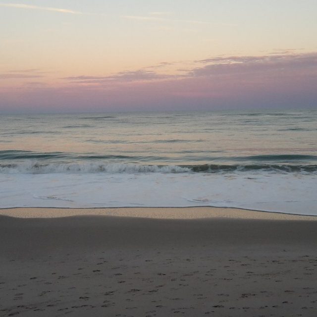 Donna's photo