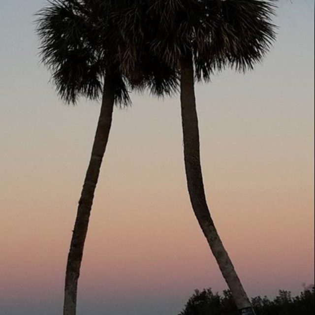 Donna's photo