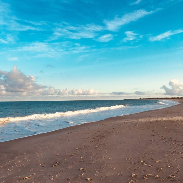 Beach Life
