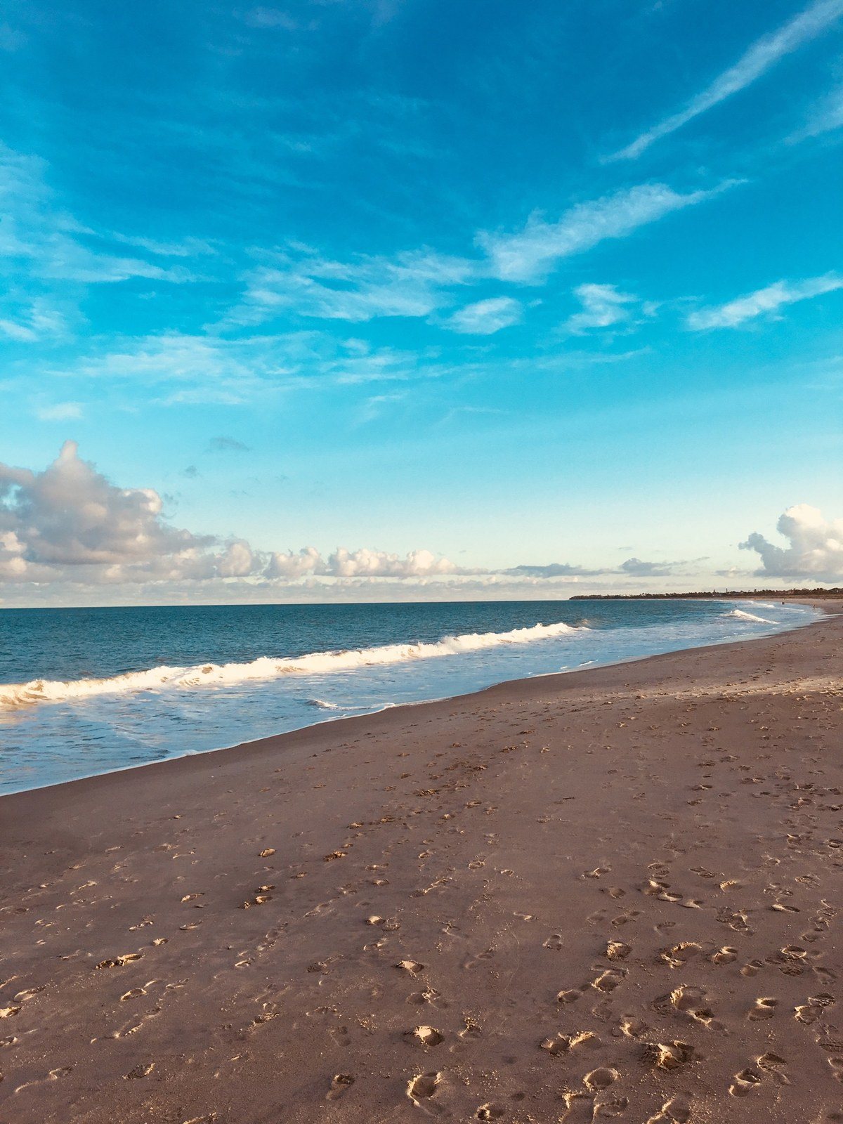 Beach Life