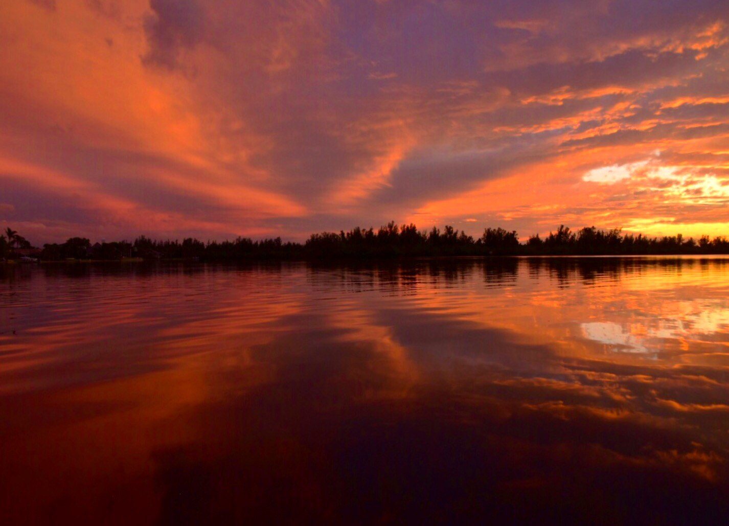 Pink Octopus Sky