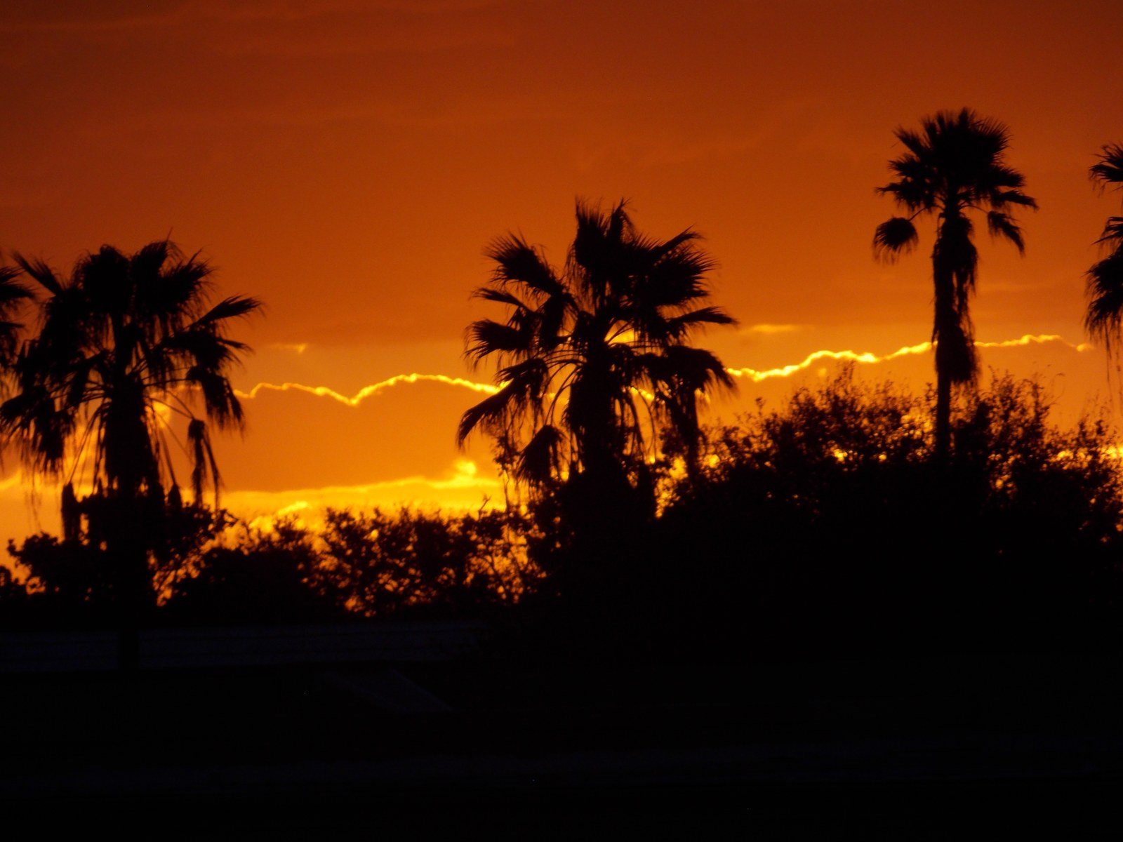 November Sunrise