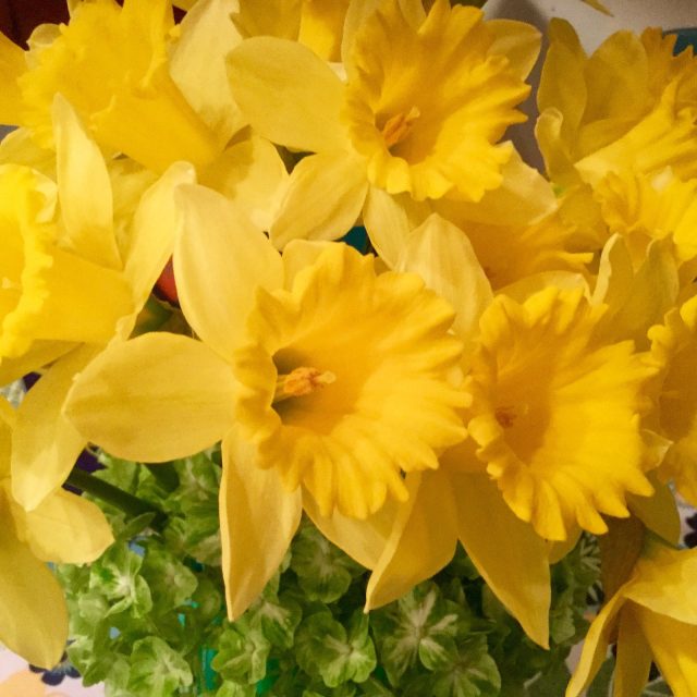 Spring Has Sprung!