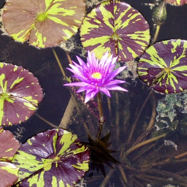 Reflections...
