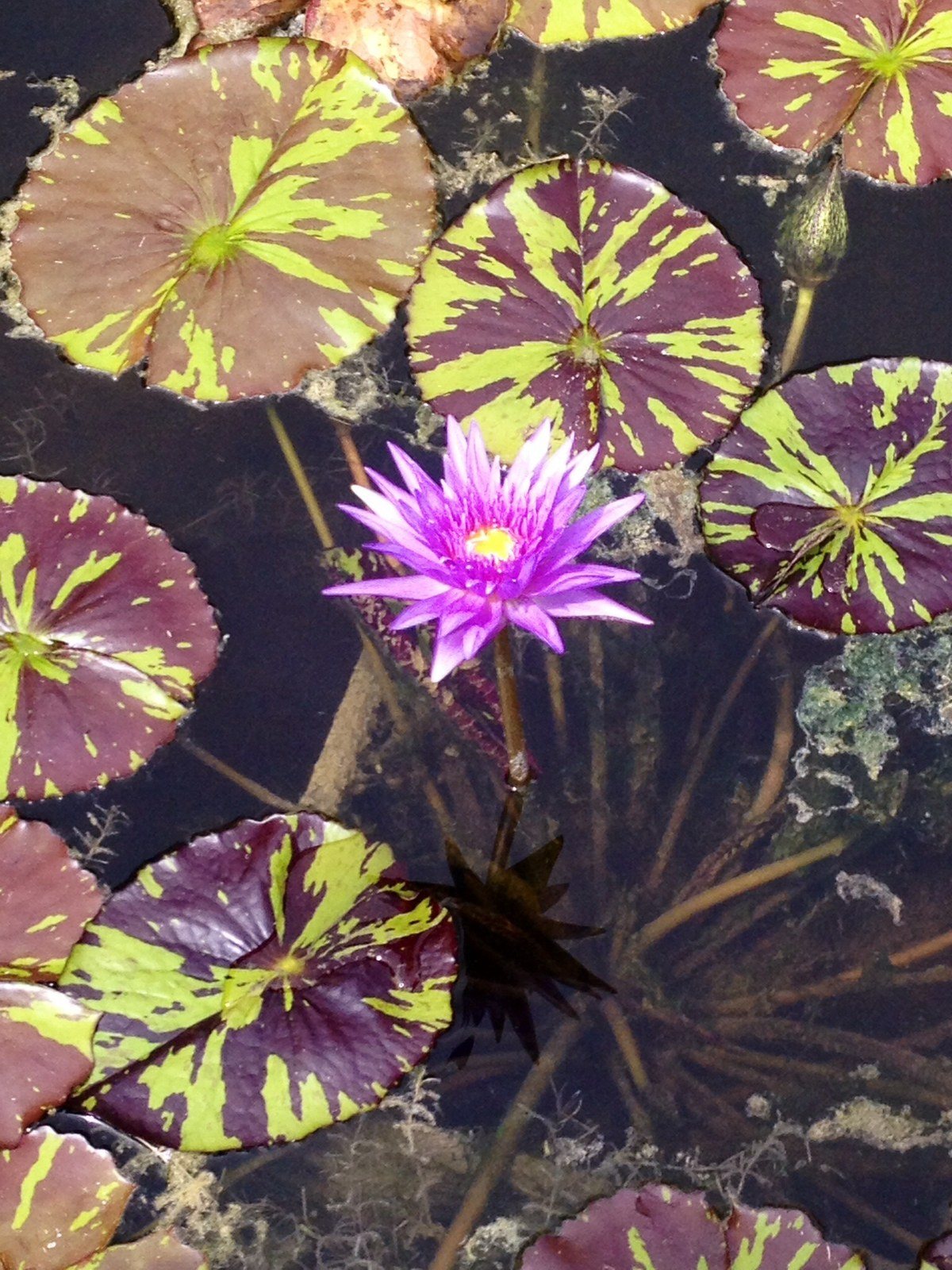 Reflections...