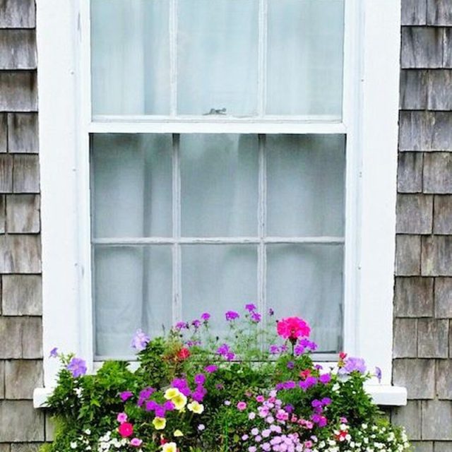 Nantucket Window Box