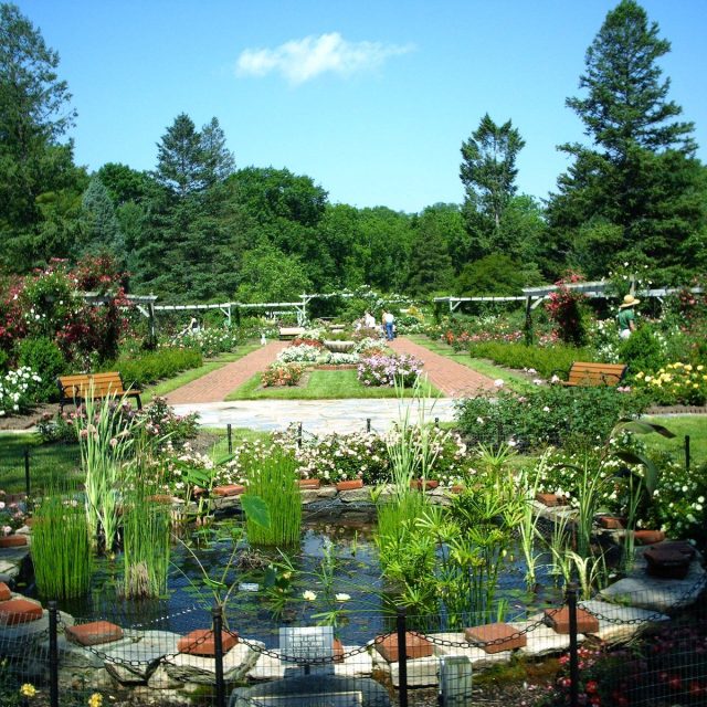 Colorful Park