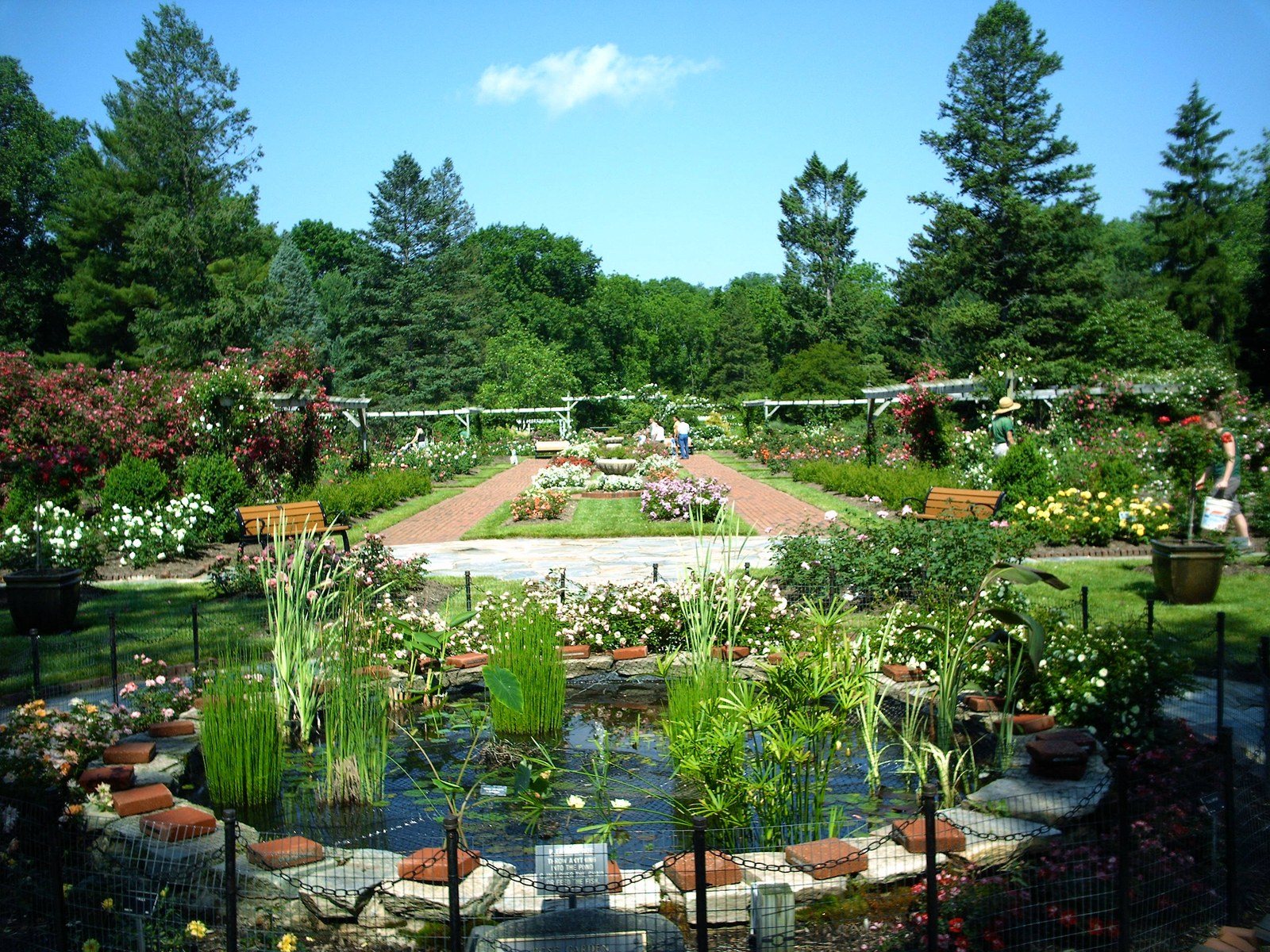 Colorful Park