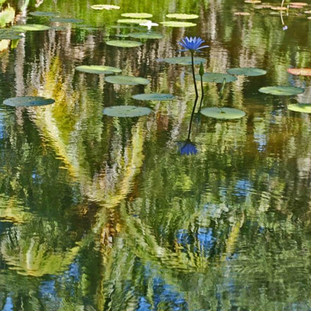 Undulations