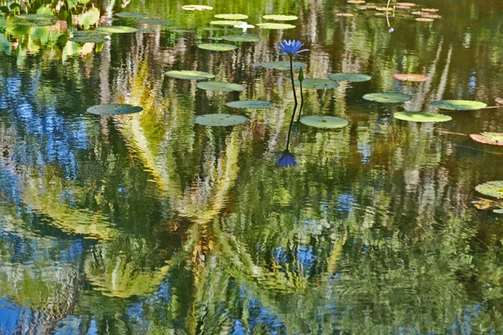 Undulations