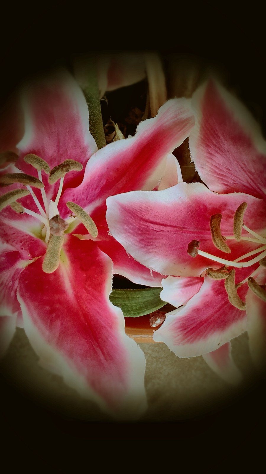 Pink Macro
