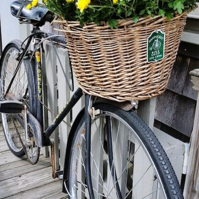 Nantucket Flowers
