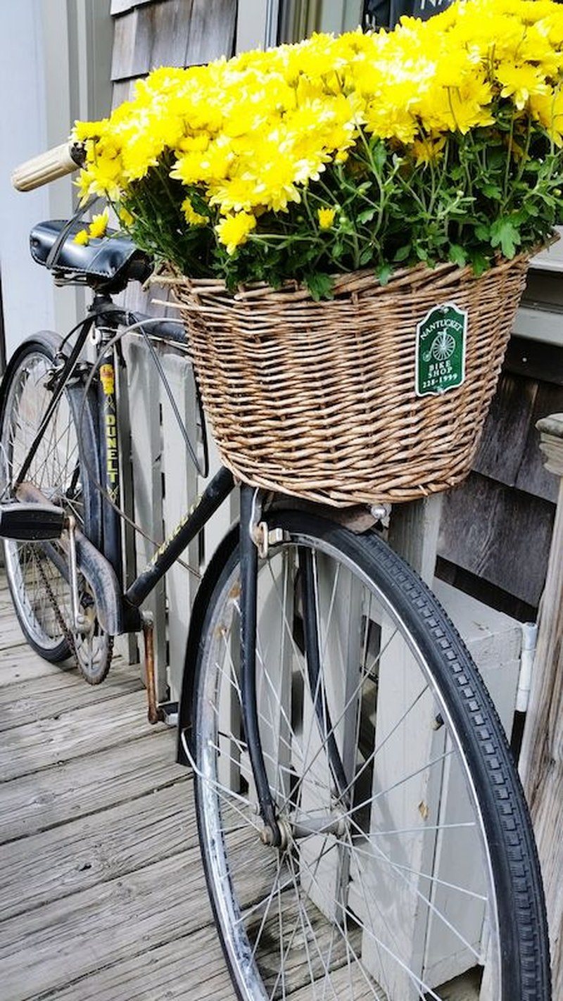 Nantucket Flowers